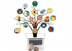 �廪��ѧ���̰� �γ���ô����